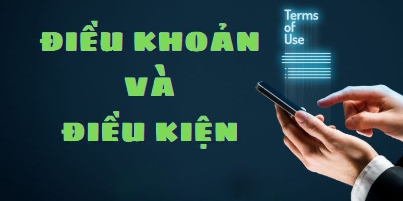 dieu-khoan-dieu-kien-la-gi